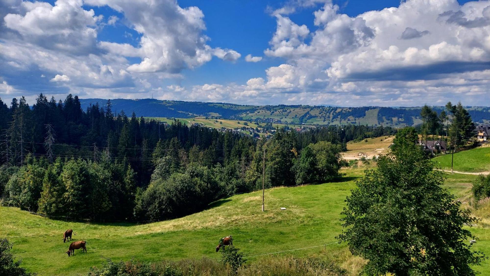 Willa Posrednia Zakopane Esterno foto