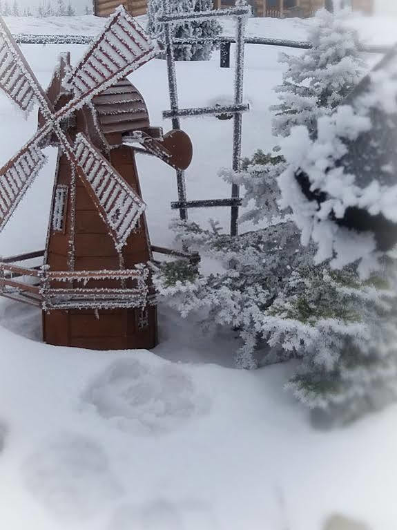 Willa Posrednia Zakopane Esterno foto